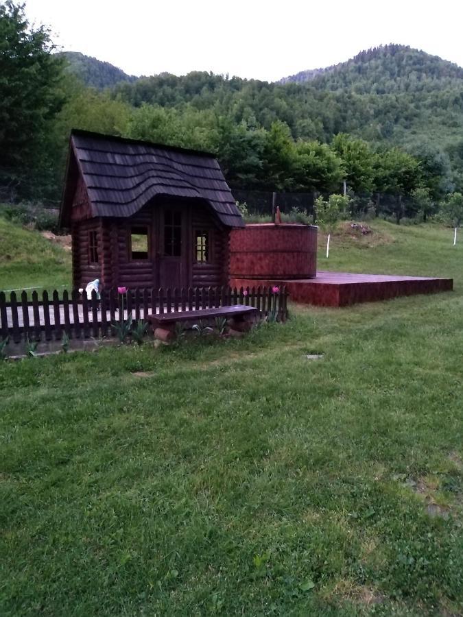 Pensiunea Roxana Valea Viseului ภายนอก รูปภาพ