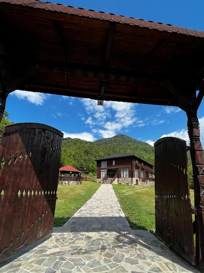 Pensiunea Roxana Valea Viseului ภายนอก รูปภาพ
