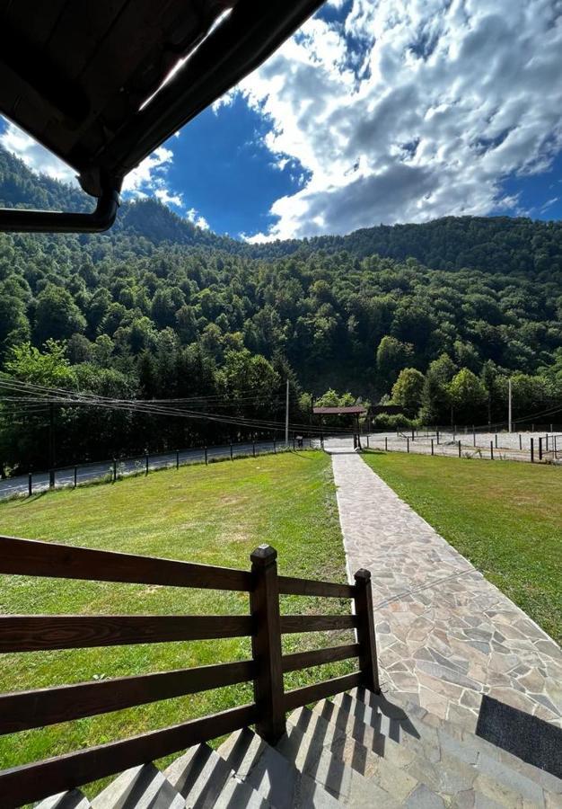 Pensiunea Roxana Valea Viseului ภายนอก รูปภาพ