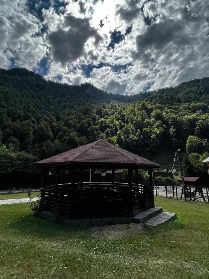 Pensiunea Roxana Valea Viseului ภายนอก รูปภาพ